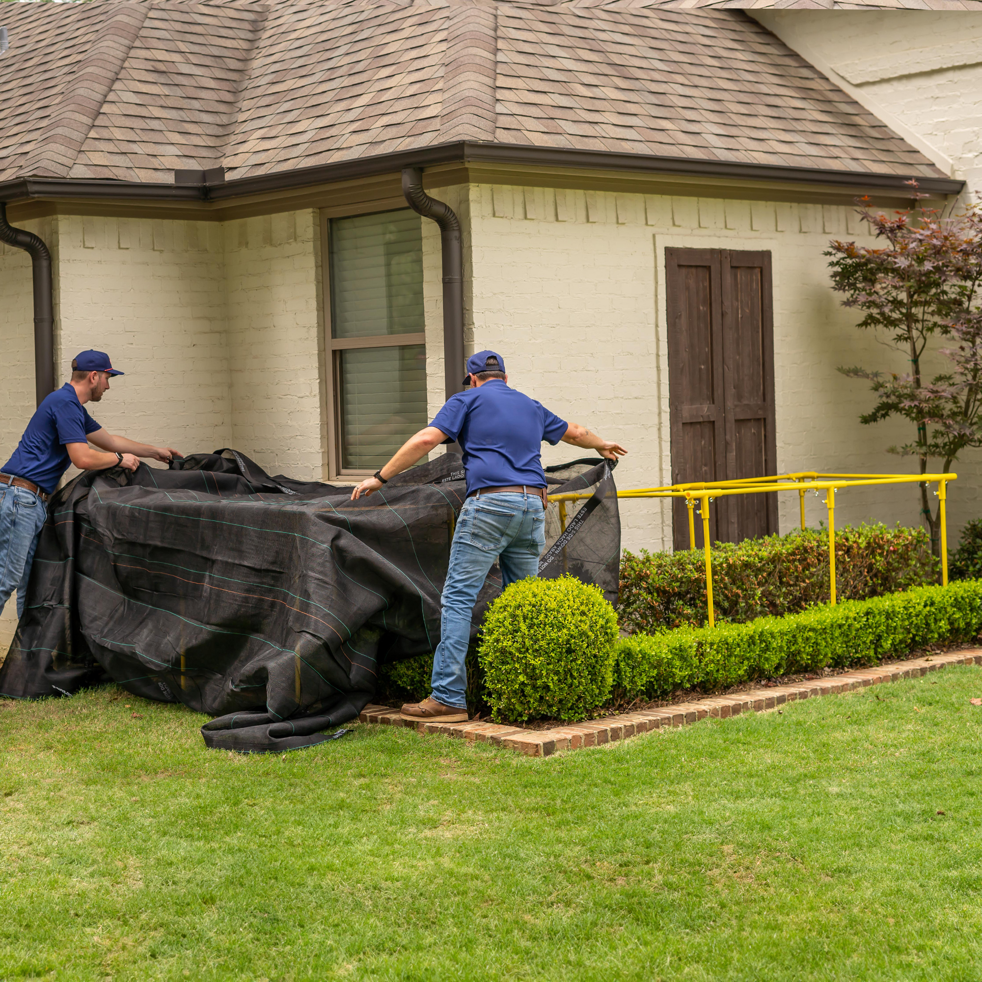 Shrub Shield