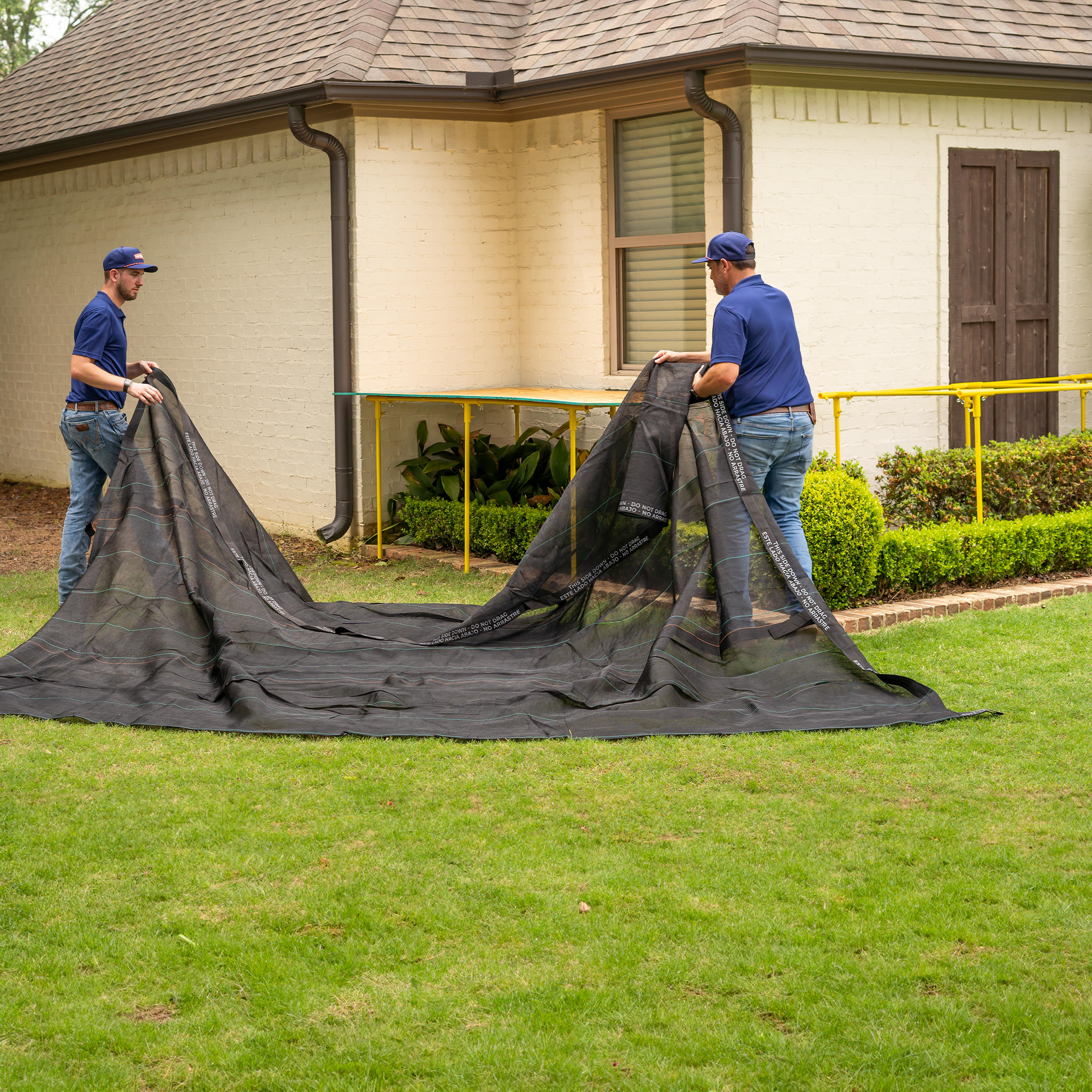 Shrub Shield